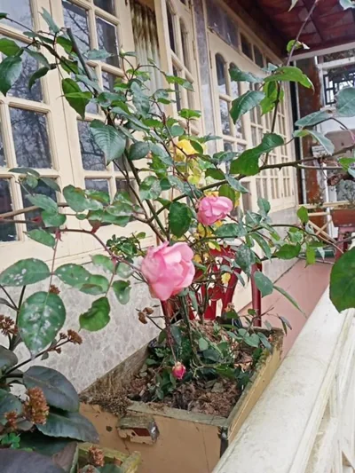Camera doppia con balcone — THANH XUAN Hotel